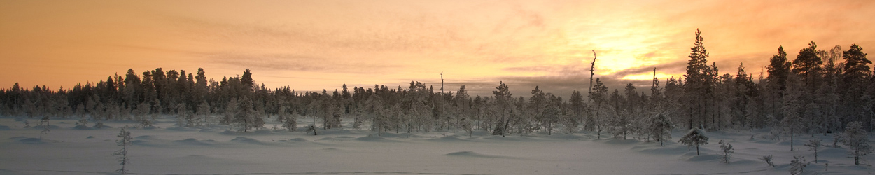 Finnish Sunset